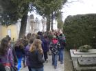 Picture 022