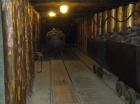 Picture 025