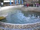 Picture 074