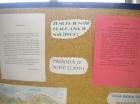 Picture 004