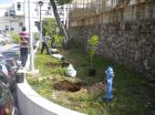 Picture 001