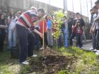 Picture 011