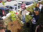 Picture 015