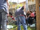 Picture 032