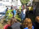 Picture 034