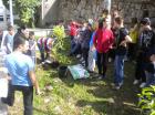 Picture 036