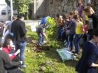 Picture 037