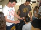 Picture 013