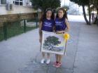 Picture 033
