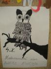 Picture 007