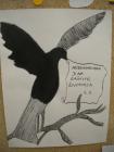 Picture 008