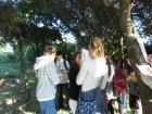 SAM_0366