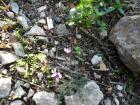 SAM_0369