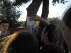 SAM_0382