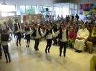 Picture 036