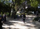 Picture 001