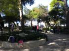 Picture 002