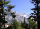 Picture 003