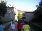 Picture 019
