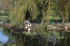 Image003
