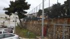 Picture 011