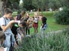 SAM_0602