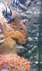20150326_153548