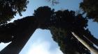 DSCF5254