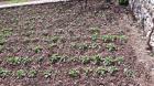 20170329_122927