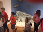IMG_1355_800_600