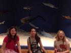 IMG_1367_800_600