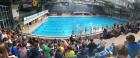 IMG-671fe59d5ef19b01369041abc808ac00-V