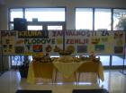 Picture 029