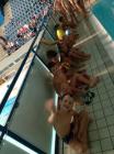 IMG_20170922_150216