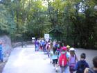 Picture 004