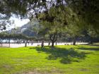 Picture 045