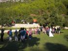 Picture 060