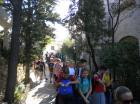 Picture 006
