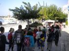 Picture 017