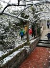 IMG_20180227_080859