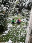 IMG_20180227_081810