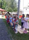 IMG-6472