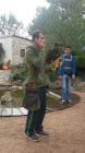 Media-Share-0.02.01.9f7196b551afeee139d74ce4167062e2d20ba1920526a8650c71f2b71419de72-Picture