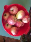 IMG_20150320_140250