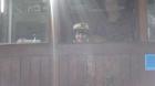 IMAG0101