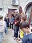 Plomin4