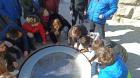 IMG_20210302_110701