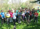 Web_vozilii14