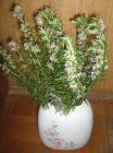 Web_IMG_0076