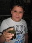 Web_IMG_0097